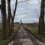 bomen kappen Herwijnen