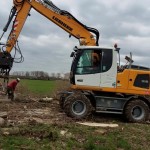 bomen kappen Herwijnen 2