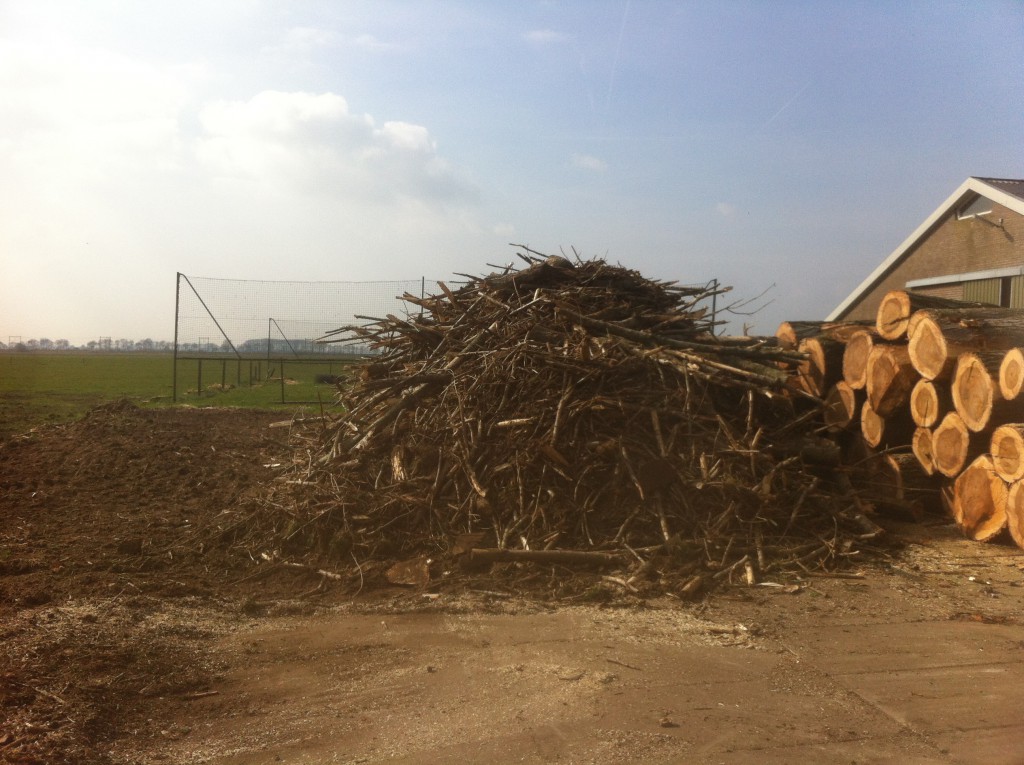 Levering van hout voor boomhutten, zagerij, kachel of kunst